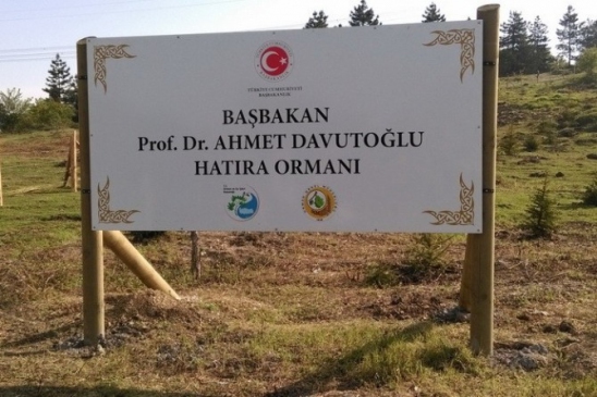 Düzce'de Başbakan Adına Hatıra Ormanı Oluşturuldu