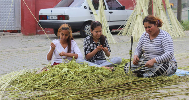 Söğüt dalları yeşillendi sepetçi Romanlar bayram yaptı!