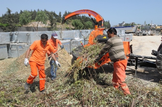 Yenişehir'de Budanan Dallar Geri Dönüşüme Kazandırılıyor