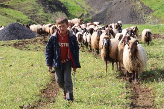 Göçerler Farşin Kato Ve Herekol Yolunda