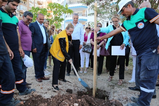 Mezitli'ye Özel Bir Koruluk Daha Yapıldı