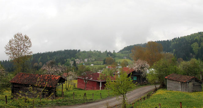 Kastamonu'da 7 köydeki kuş gribi karantinası kalktı!