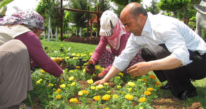 İşçilerle birlikte çapa yapıp çiçek dikti!