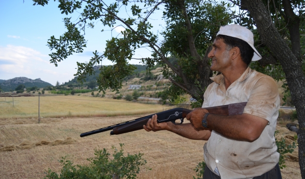 Silifke'de  Yaban Domuzu Nöbeti