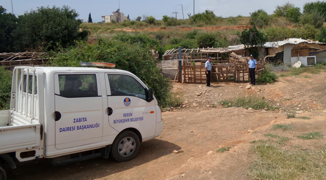 Mersin de Şehir içerisinde hayvan besiciliği yapanlara ceza