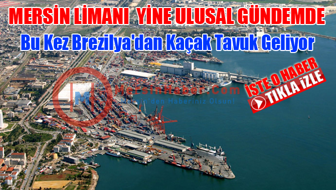 Brezilya’dan Mersin Limanına Kaçak Tavuk