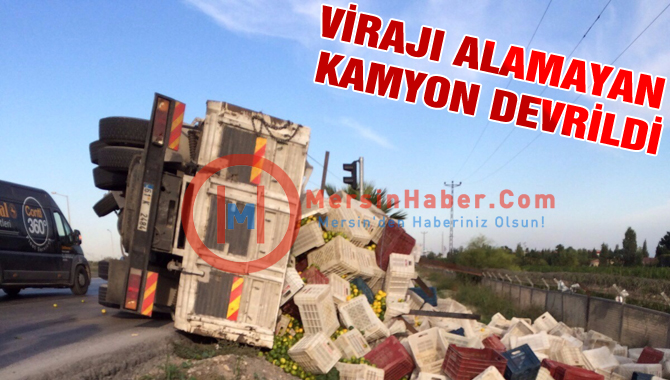 Virajı Alamayan Narenciye Yüklü Kamyon Devrildi