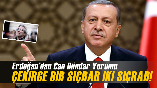 Erdoğan'dan Can Dündar  Yorumu