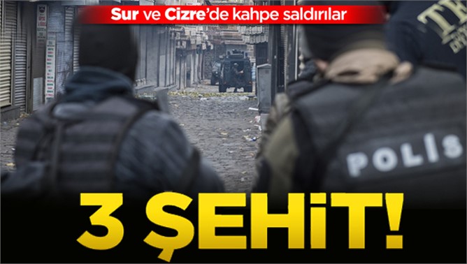 Diyarbakır ve Cizre'de 3 polis şehit oldu