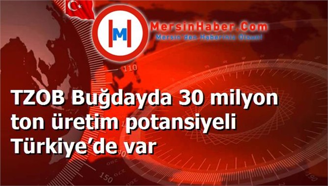 TZOB Buğdayda 30 milyon ton üretim potansiyeli Türkiye’de var