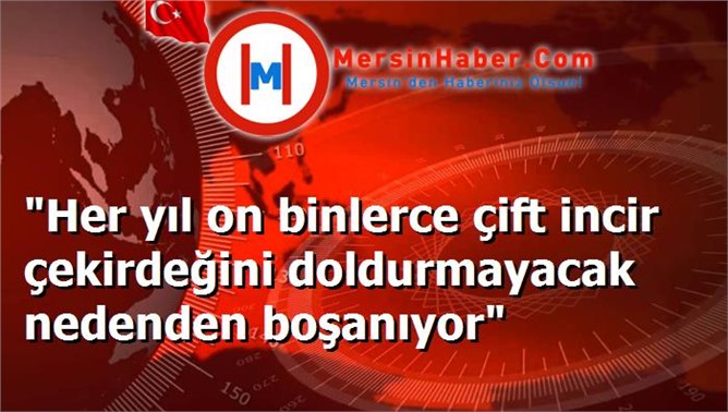 "Her yıl on binlerce çift incir çekirdeğini doldurmayacak nedenden boşanıyor"