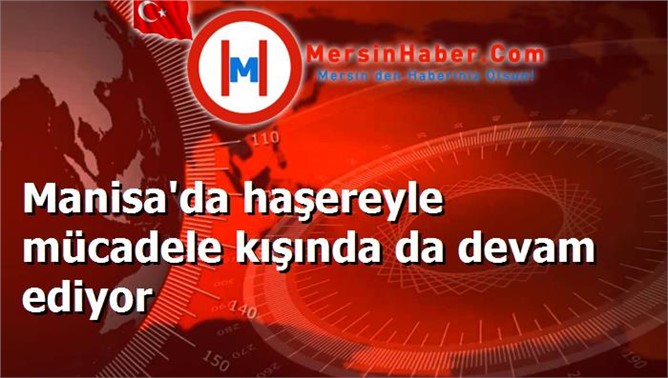 Manisa'da haşereyle mücadele kışında da devam ediyor