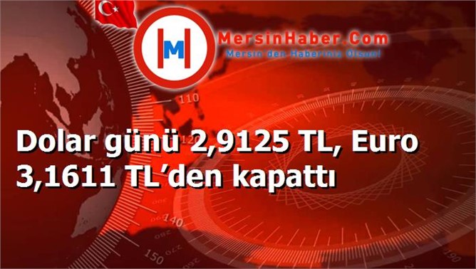 Dolar günü 2,9125 TL, Euro 3,1611 TL’den kapattı