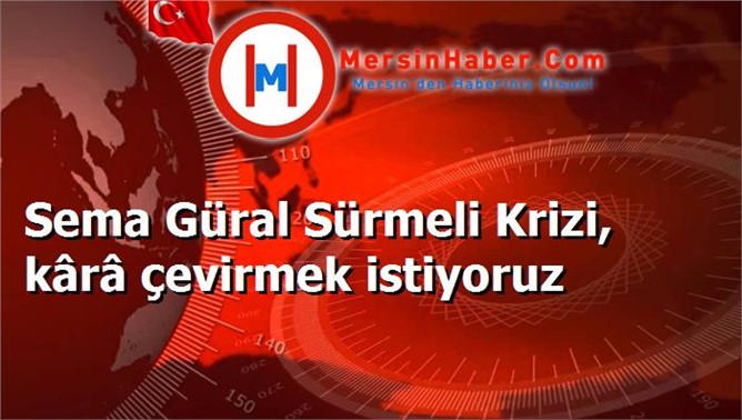 Sema Güral Sürmeli Krizi, kârâ çevirmek istiyoruz