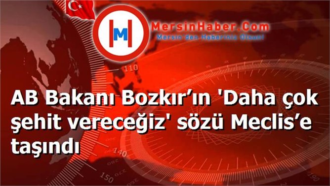 AB Bakanı Bozkır’ın 'Daha çok şehit vereceğiz' sözü Meclis’e taşındı