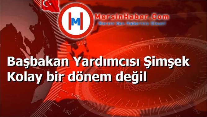 Başbakan Yardımcısı Şimşek Kolay bir dönem değil