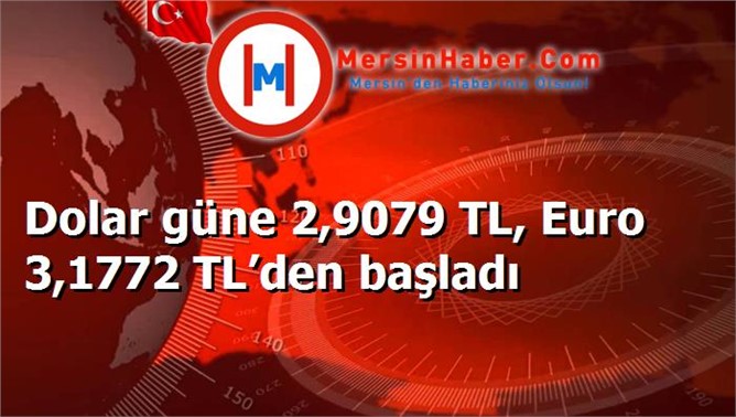 Dolar güne 2,9079 TL, Euro 3,1772 TL’den başladı