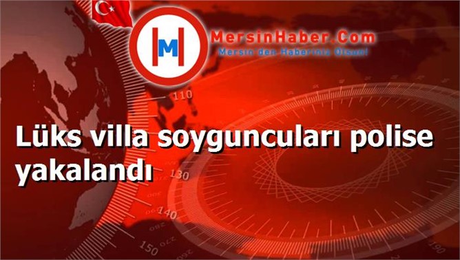 Lüks villa soyguncuları polise yakalandı