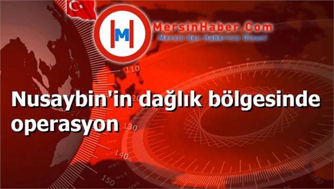 Nusaybin'in dağlık bölgesinde operasyon