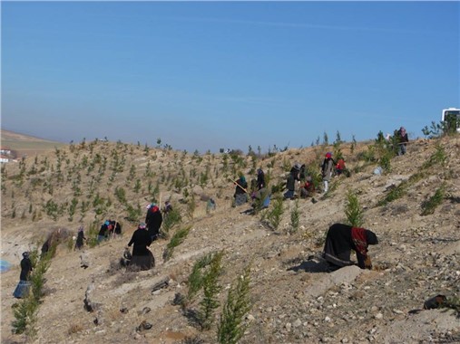 Karakeçili’de fidanlar toprakla buluştu