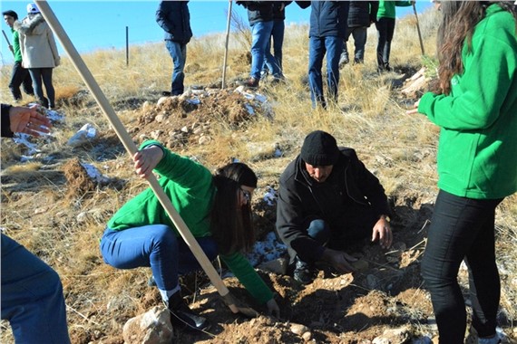 'Yeşil Kırşehir için, bir fidan da siz dikin' etkinliği düzenlendi