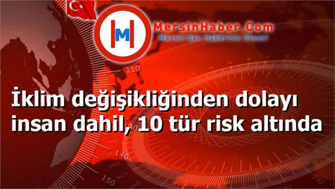 İklim değişikliğinden dolayı insan dahil, 10 tür risk altında