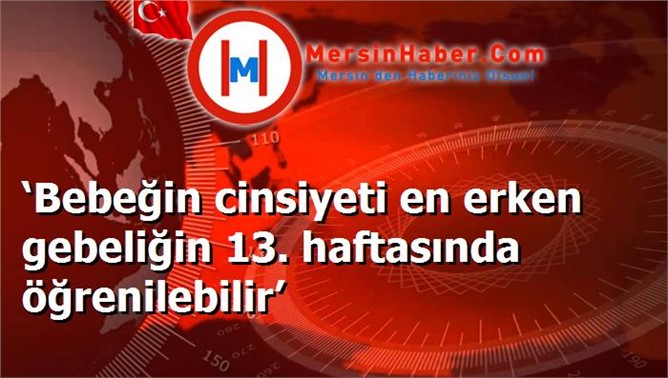 ‘Bebeğin cinsiyeti en erken gebeliğin 13. haftasında öğrenilebilir’