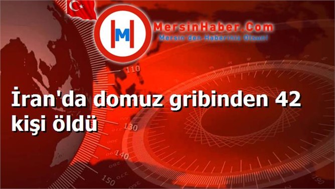 İran'da domuz gribinden 42 kişi öldü