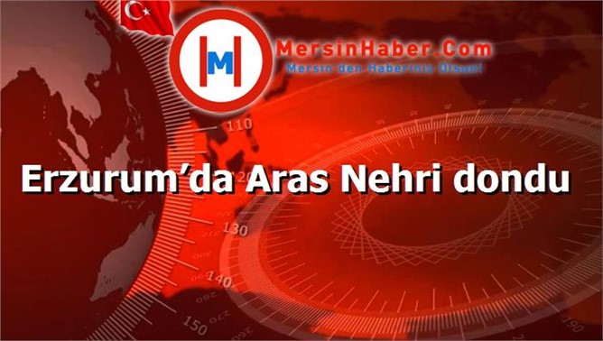 Erzurum’da Aras Nehri dondu