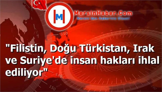 "Filistin, Doğu Türkistan, Irak ve Suriye'de insan hakları ihlal ediliyor"