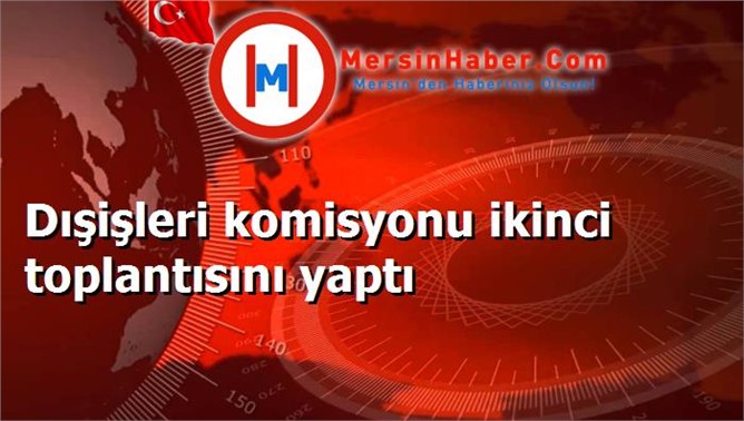 Dışişleri komisyonu ikinci toplantısını yaptı