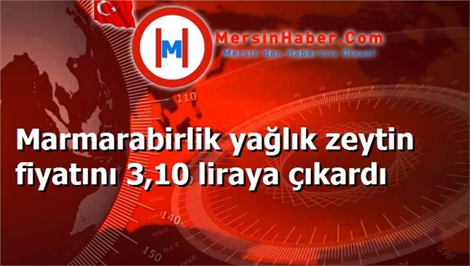 Marmarabirlik yağlık zeytin fiyatını 3,10 liraya çıkardı