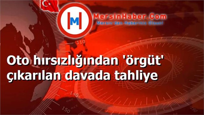 Oto hırsızlığından 'örgüt' çıkarılan davada tahliye