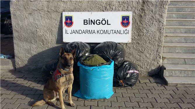 Bingöl'de 162 kilogram esrar maddesi ele geçirildi