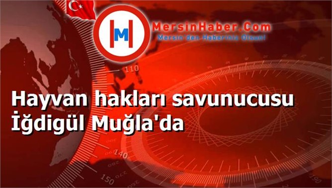 Hayvan hakları savunucusu İğdigül Muğla'da