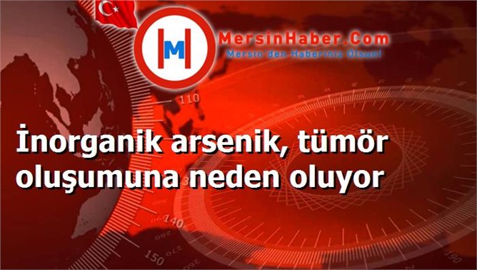 İnorganik arsenik, tümör oluşumuna neden oluyor