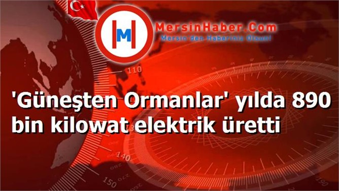 'Güneşten Ormanlar' yılda 890 bin kilowat elektrik üretti