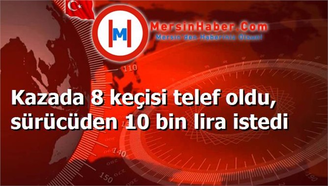 Kazada 8 keçisi telef oldu, sürücüden 10 bin lira istedi