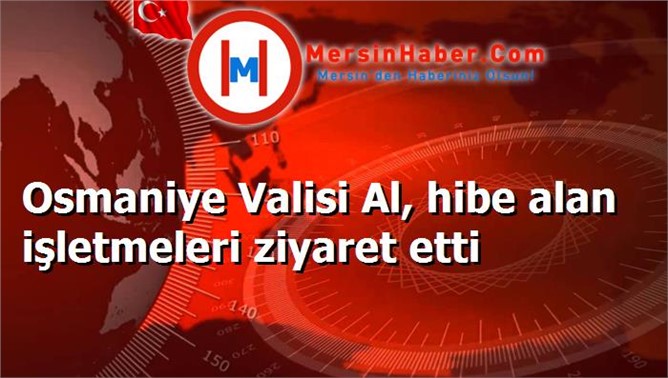 Osmaniye Valisi Al, hibe alan işletmeleri ziyaret etti