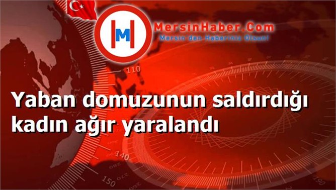 Yaban domuzunun saldırdığı kadın ağır yaralandı