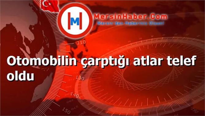 Otomobilin çarptığı atlar telef oldu