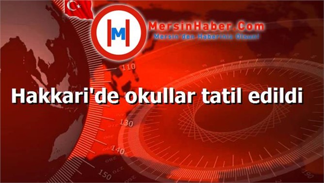 Hakkari'de okullar tatil edildi