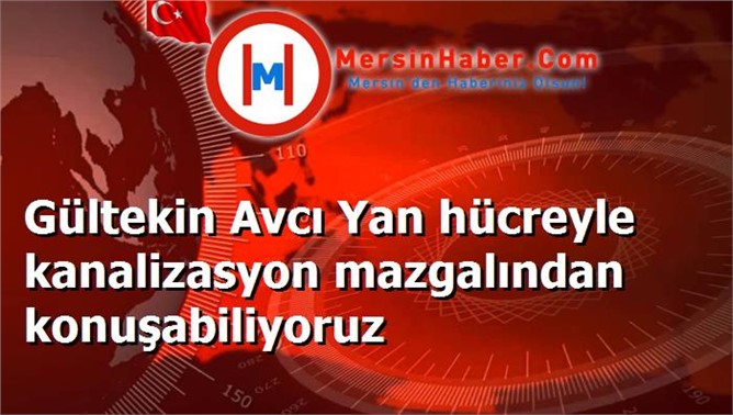 Gültekin Avcı Yan hücreyle kanalizasyon mazgalından konuşabiliyoruz