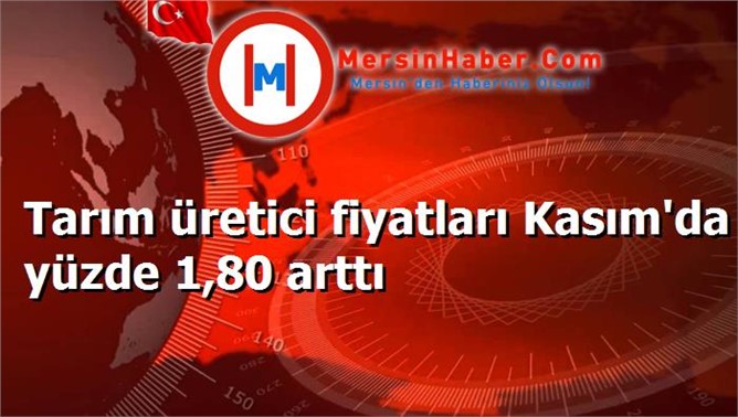 Tarım üretici fiyatları Kasım'da yüzde 1,80 arttı