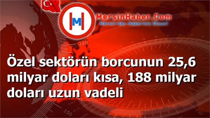 Özel sektörün borcunun 25,6 milyar doları kısa, 188 milyar doları uzun vadeli