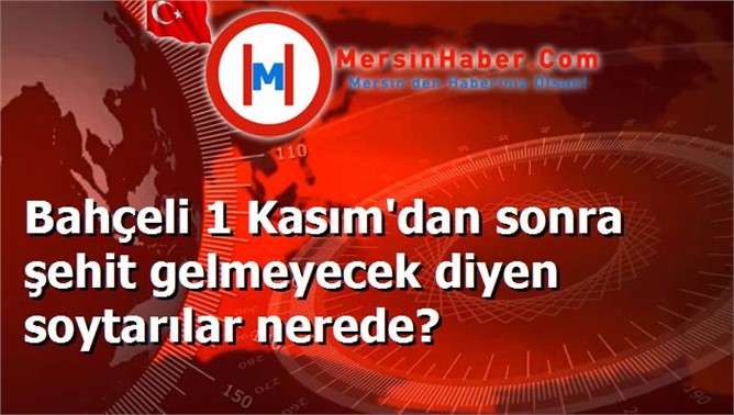 Bahçeli 1 Kasım'dan sonra şehit gelmeyecek diyen soytarılar nerede?