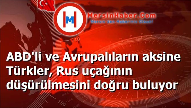 ABD'li ve Avrupalıların aksine Türkler, Rus uçağının düşürülmesini doğru buluyor