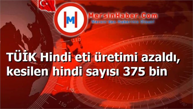 TÜİK Hindi eti üretimi azaldı, kesilen hindi sayısı 375 bin