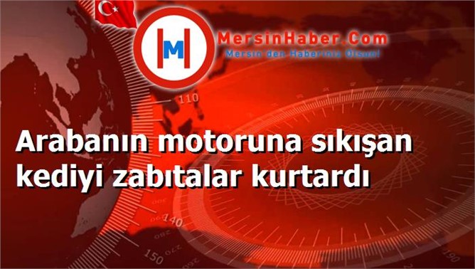 Arabanın motoruna sıkışan kediyi zabıtalar kurtardı