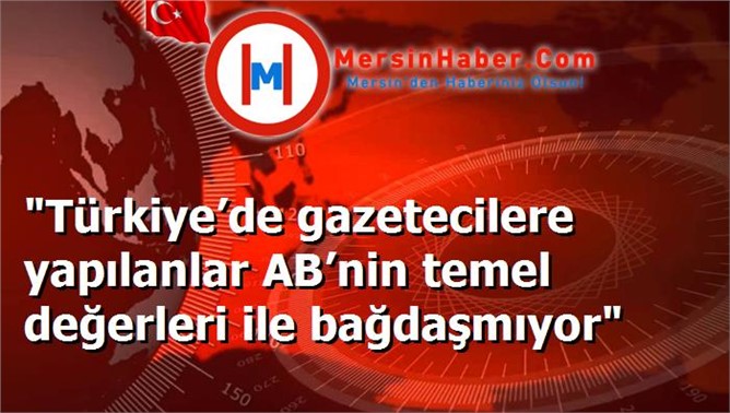 "Türkiye’de gazetecilere yapılanlar AB’nin temel değerleri ile bağdaşmıyor"